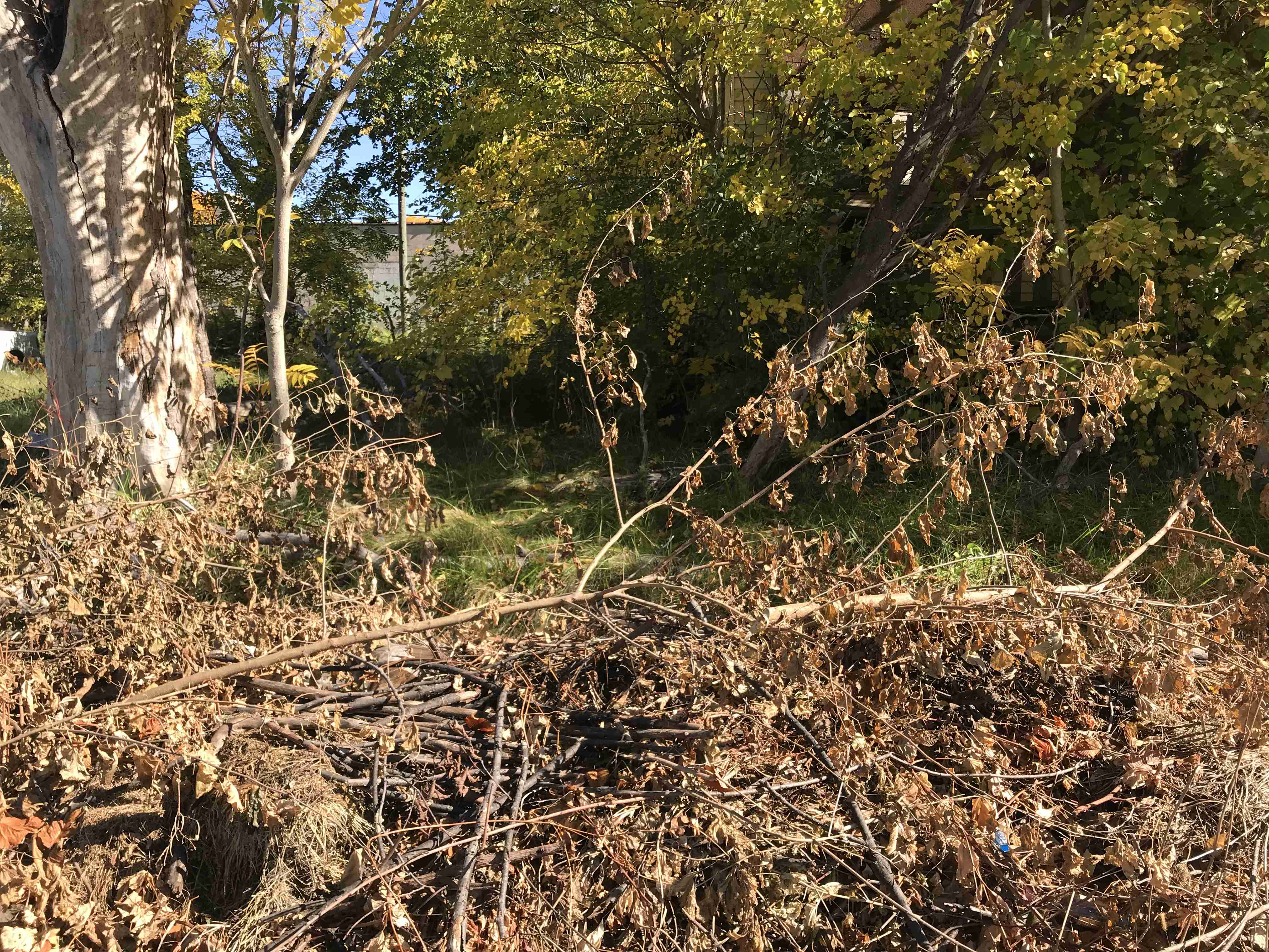 Photo Oct 13, 12 12 23 PM.jpg